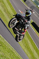 Lower Group Black Bikes